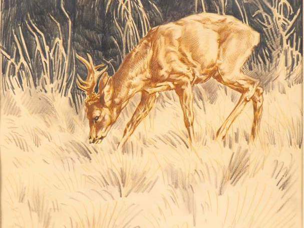 Ecole française Xxème. "Les cerfs". 3 dessins signés. Dim. 42 x 34 cm.