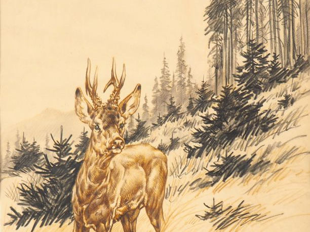 Ecole française Xxème. "Les cerfs". 3 dessins signés. Dim. 42 x 34 cm.