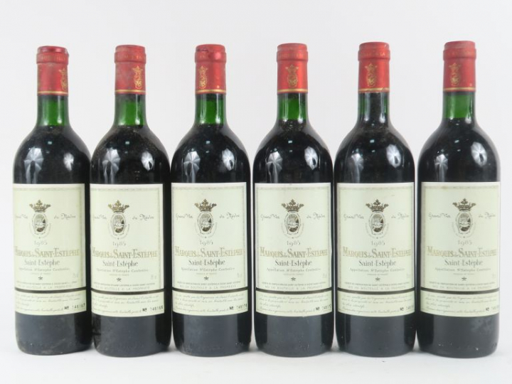 6 BOUTEILLES MARQUIS DE ST ESTEPHE - 1985 - BG
