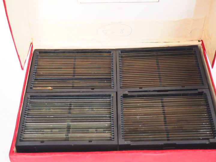 Visonneuse moderne avec lot important de plaques photographiques. (Sui