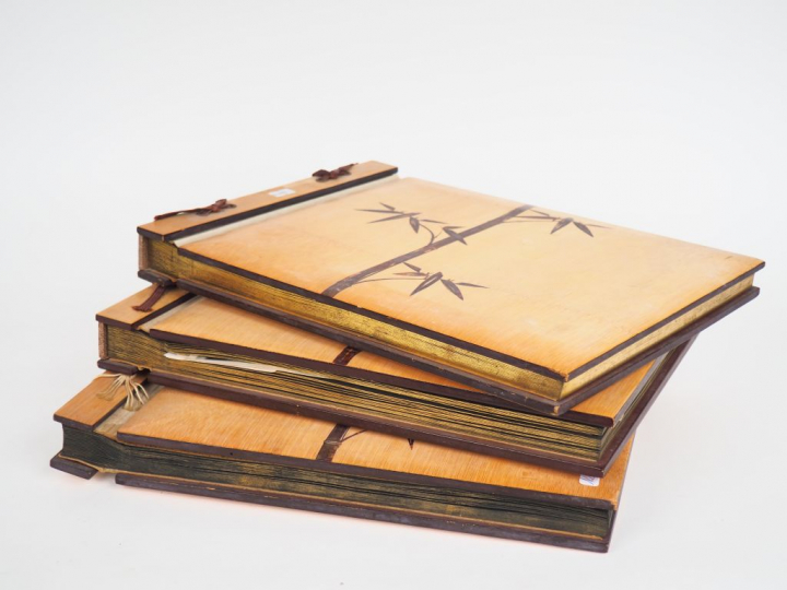 Lot de 3 albums photographiques de voyage en Asie du Sud Est, reliure 