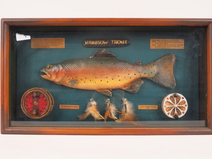 Lot comprenant 3 affiches :  - Affiche "les poissons"  - affiche le cy