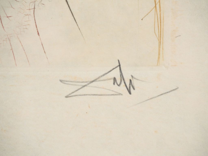 Salvador DALI. Lithographie en couleur signée en bas à droite et numér
