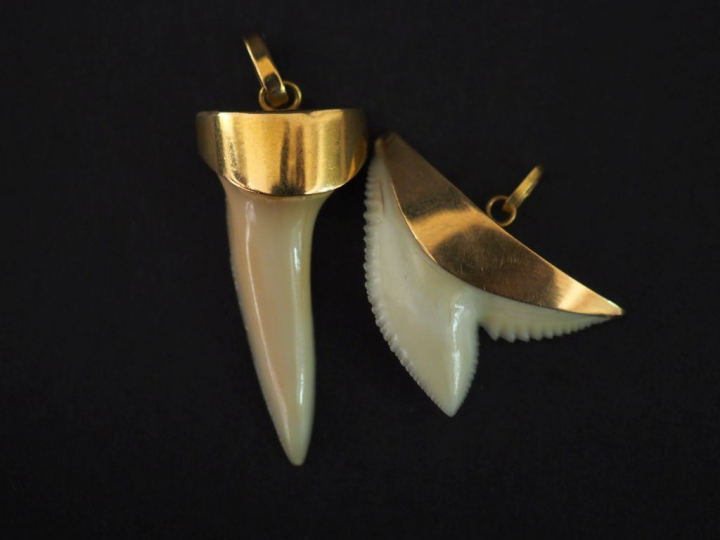 Deux différents pendentifs en or jaune, en forme de dent de requin.  H