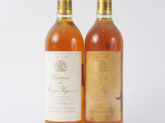 Vente aux enchères 2 BOUTEILLES CHÂTEAU RAYNE VIGNEAU 1er CC SAUTERNES - 1995 - 1 EF