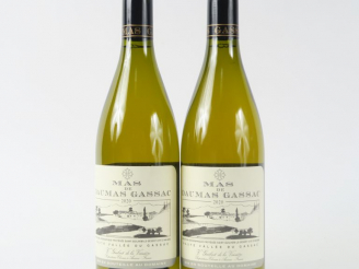 Vente aux enchères 2 BOUTEILLES MAS DE DAUMAS GASSAC BLANC - 2020
