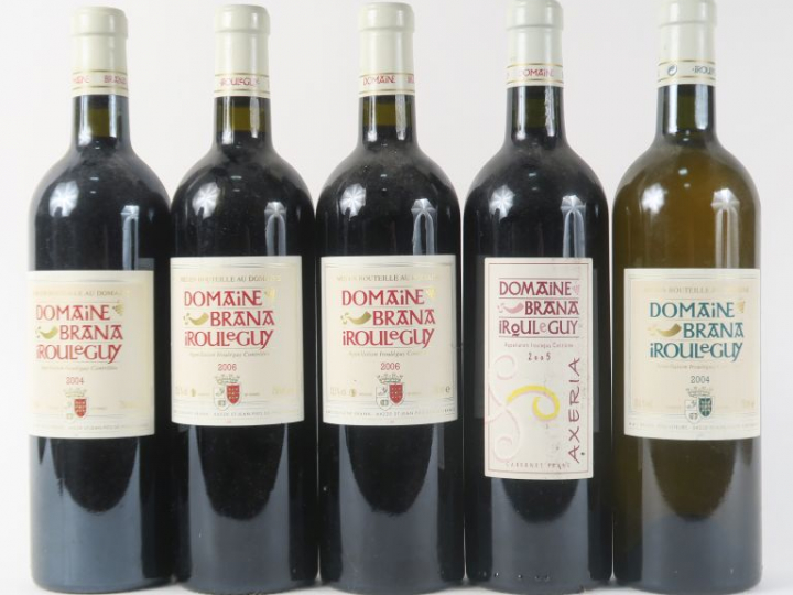 5 BOUTEILLES DOMAINE BRANA IROULEGUY : 1 de 2004 - 1 de 2005 AXERIA - 