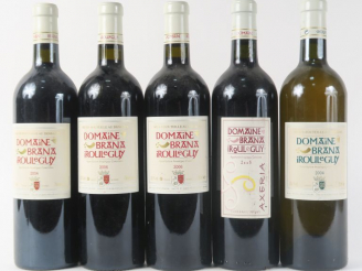 Vente aux enchères 5 BOUTEILLES DOMAINE BRANA IROULEGUY : 1 de 2004 - 1 de 2005 AXERIA - 