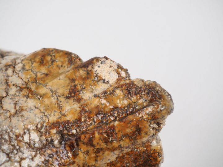 ATHEZZA. Sujet en céramique polychrome figurant une poule. Signé. H. 1