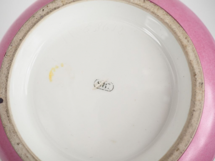 SEVRES. Paire de vases XIXème en porcelaine à décor polychrome sur fon