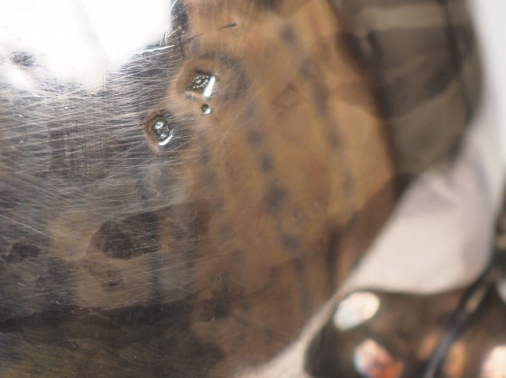 Service à café et à thé Napoléon III de style Rocaille en argent, poin