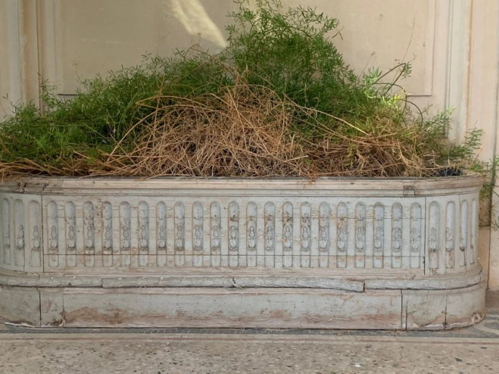 Grande jardinière de style Louis XVI en bois laqué gris à décor de can