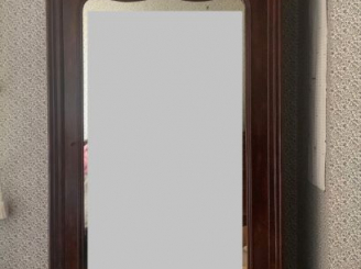 Vente aux enchères Armoire à glace Napoléon III en acajou et placage d’acajou, une porte 