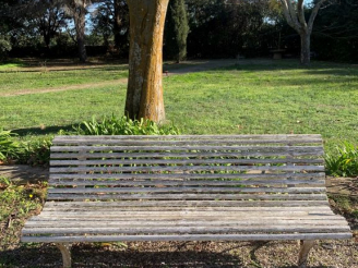 Vente aux enchères Paire de bancs de jardin 1900 en bois et fer forgé.