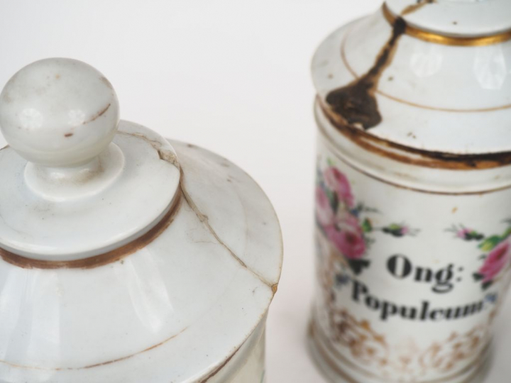 Ensemble de 19 pots de pharmacie XIXème en porcelaine à décor de roses