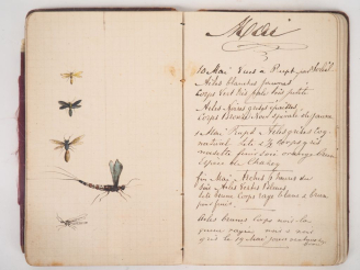 Vente aux enchères [PÊCHE]. CEZARD (Albert). MOUCHES VUES SUR L’EAU. Carnet petit in-12 v