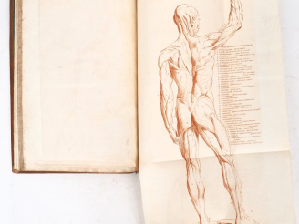 Vente aux enchères AUDRAN (Girard). LES PROPORTIONS DU CORPS HUMAIN, mesurées sur les plu