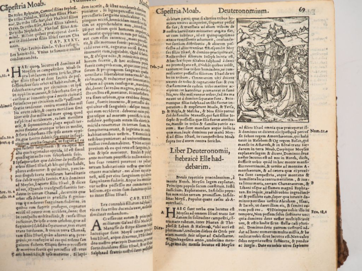 [BIBLE]. BIBLIA insignium historiarum simulachris, cum venustati, tum 