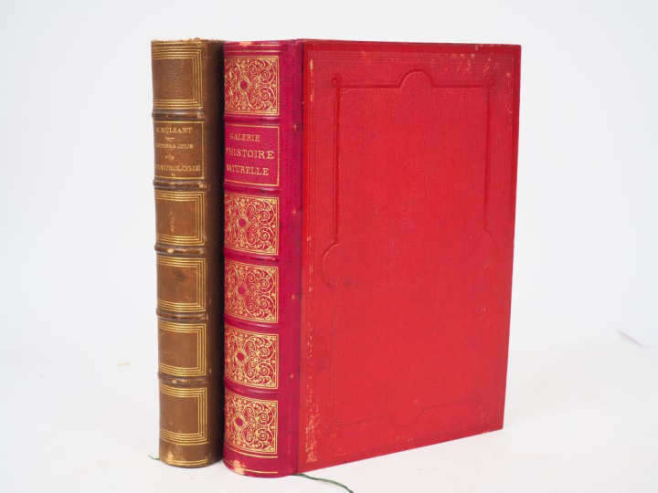 [BUFFON]. GALERIE D’HISTOIRE NATURELLE. P., Garnier frères, Grand in-8