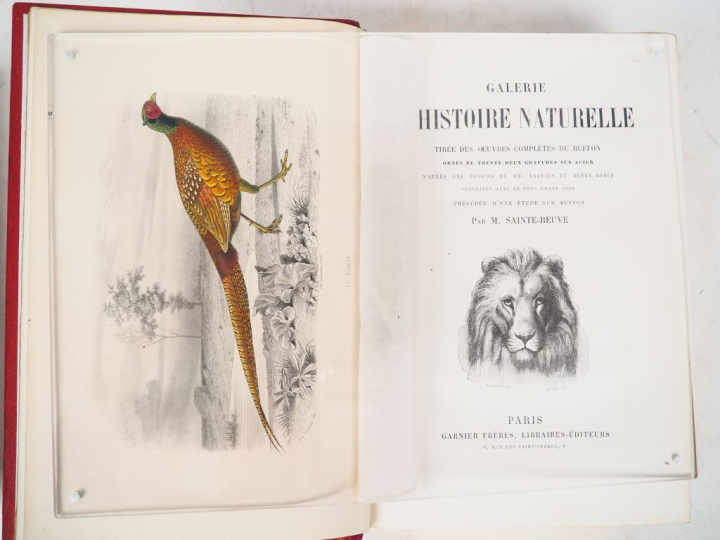 [BUFFON]. GALERIE D’HISTOIRE NATURELLE. P., Garnier frères, Grand in-8