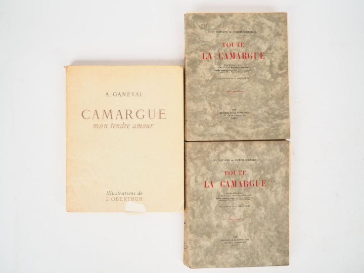 [CHASSE]. BURNAND (T.) et OBERTHÜR (J.). TOUTE LA CAMARGUE. P., Éditio