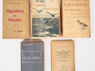 Vente aux enchères [CHASSE - OISEAUX]. TERNIER (L.) Nos oiseaux de de mer, de rivière et 