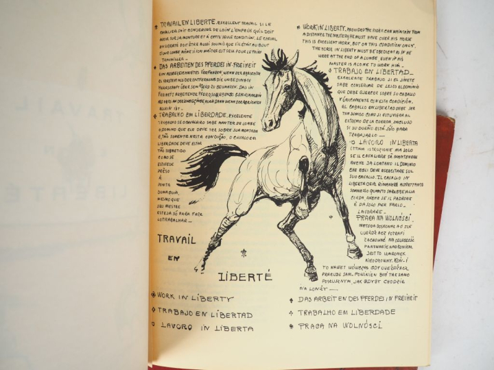 [CHASSE - CHEVAL]. CRAFTY. La Chasse à courre. (1888). In-4 à l’italie
