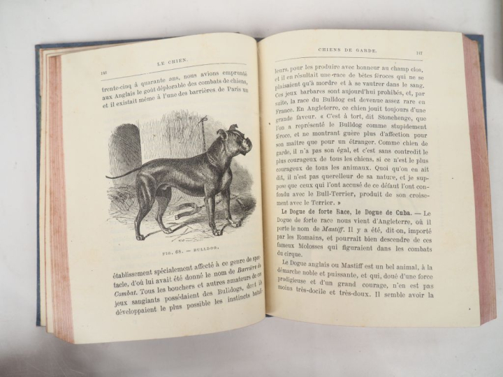 [CHASSE - CHIEN]. BELLIER DE VILLIERS (Baron A.-C.-E.). LE CHIEN AU CH