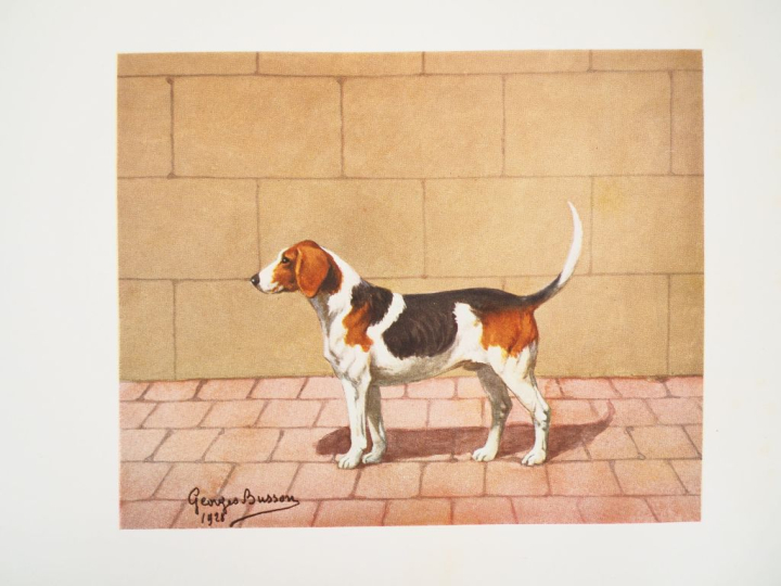 [CHASSE - CHIEN]. BELLIER DE VILLIERS (Baron A.-C.-E.). LE CHIEN AU CH