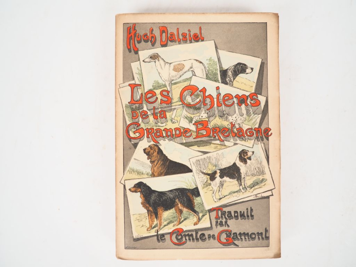 [CHASSE - CHIEN]. DALZIEL (H.). LES CHIENS DE LA GRANDE-BRETAGNE. Trad