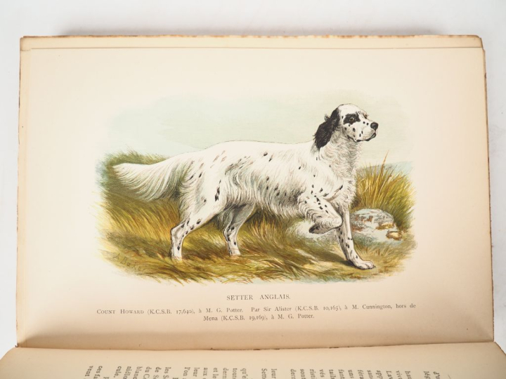 [CHASSE - CHIEN]. DALZIEL (H.). LES CHIENS DE LA GRANDE-BRETAGNE. Trad