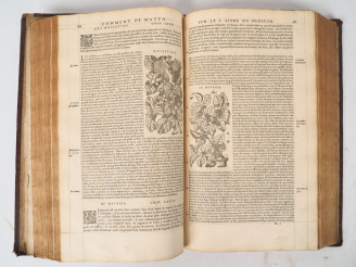 Vente aux enchères [MATTIOLI]. COMMENTAIRES DE M. PIERRE ANDRE MATTHIOLE médecin Senois, 