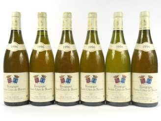 Vente aux enchères 6 BOUTEILLES BOURGOGNE HAUTES CÔTES DE NUITS LYCÉE VITICOLE - 1996