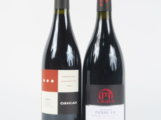 Vente aux enchères 2 BOUTEILLES MINERVOIS : 1 'ORNICAR' CHARLOTTE   JB SENAT 2019 - 1 'OR