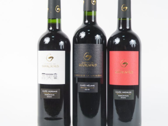 Vente aux enchères 3 BOUTEILLES CHÂTEAU DE GOURGAZAUD MINERVOIS : 1 'MORGANE' 2020 - 1 'M