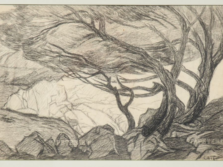 Gaston CANTIN. "Cap d'Antibes". Dessin, signé en bas à droite, titré a