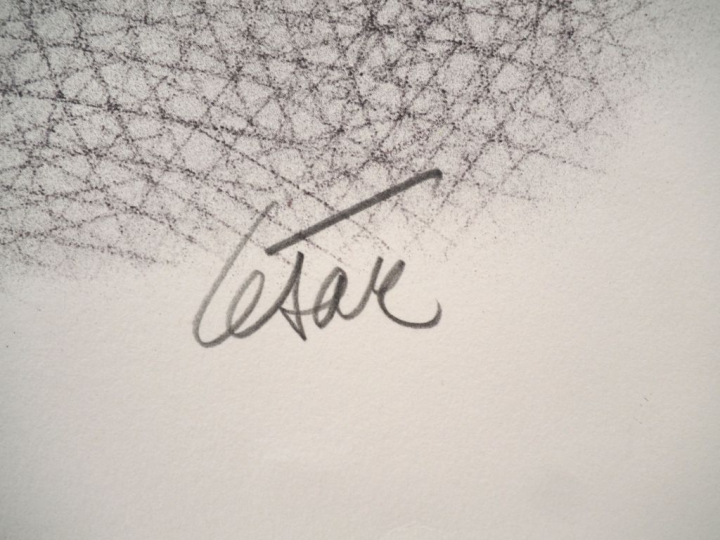 CESAR. "Compression". Lithographie en couleur contresignée en bas à dr