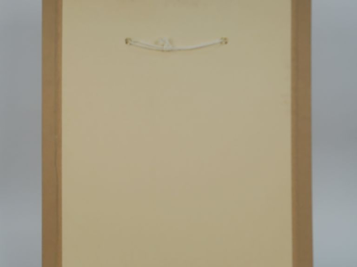 Ecole française fin XIXème. "Portrait de jeune fille". Dessin au crayo