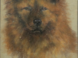 Vente aux enchères Ecole française XXme. "Portrait de chien". Dessin,signé M.S.P en bas à