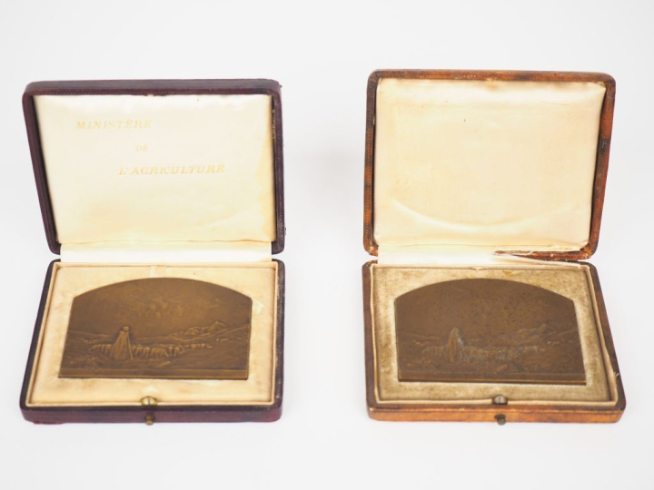 Léo LAPORTE-BLAIRSY. "Bergère et son troupeau". Paire de médailles en 