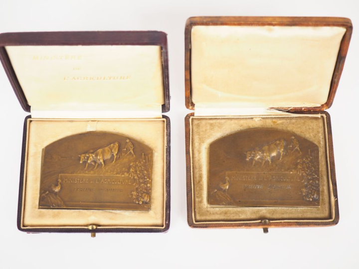 Léo LAPORTE-BLAIRSY. "Bergère et son troupeau". Paire de médailles en 