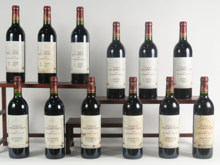 12 BOUTEILLES CHÂTEAU SEGONNES MARGAUX - 1993 - CBO - 4 ELA