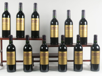 Vente aux enchères 12 BOUTEILLES CHÂTEAU CANTENAC BROWN GCC MARGAUX - 1995 - CBO