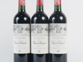 Vente aux enchères 3 BOUTEILLES LES PILIERS DE MAISON BLANCHE MONTAGNE ST EMILION -  2005