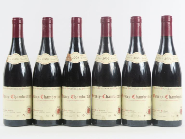 6 BOUTEILLES GEVREY CHAMBERTIN BERTHAUT - 2006