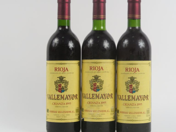 3 BOUTEILLES RIOJA VALLEMAYOR 1995