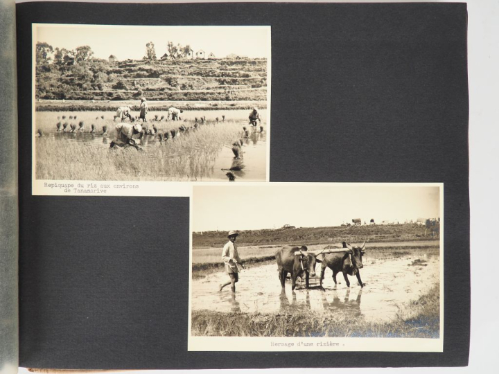 Album de 35 photographies dont la première partie sur la prise d'armes