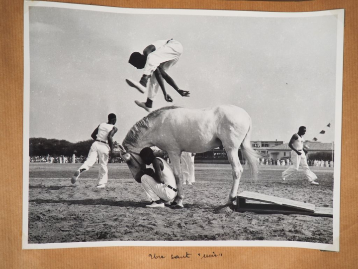 Album de 294 photographies.