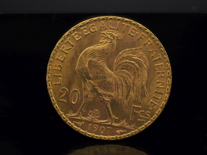 Une pièce de 20 Francs or, 1907. FRAIS ACHETEURS 10% HT.   