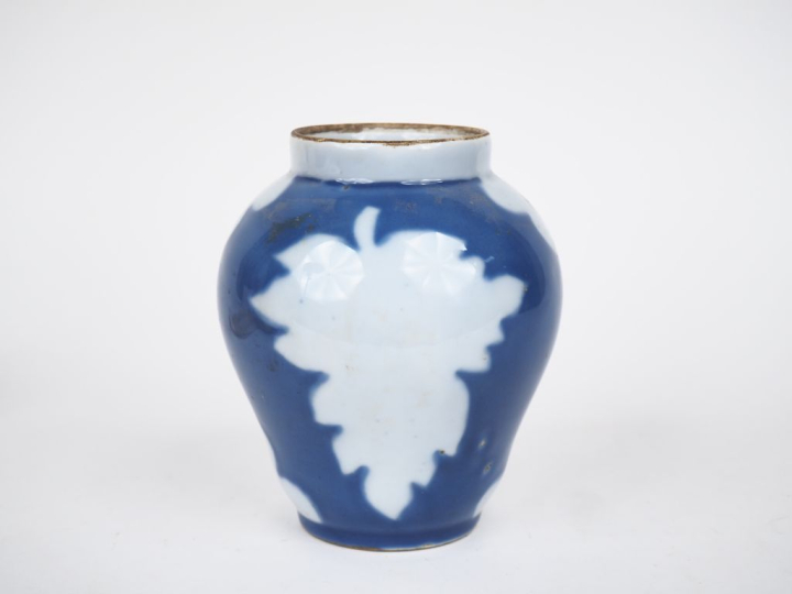 Vase XIXème en porcelaine extrême-orient à décor de feuilles de chêne 